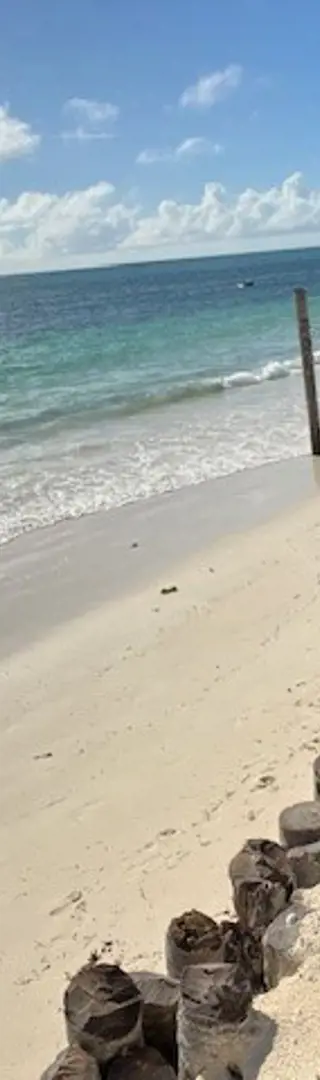 Strandleben auf Sansibar